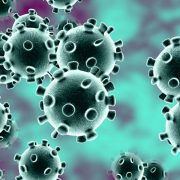 Vacunas contra el coronavirus: ¿Como funcionan? 8