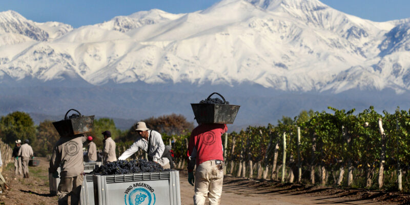 Con una agenda federal se celebra el Día del vino argentino 6