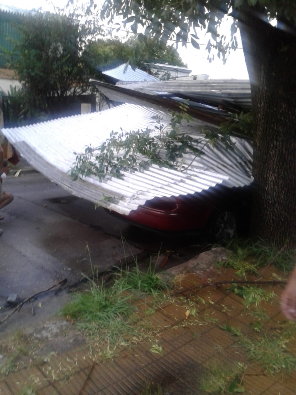 Voladura de techos, caída de postes y árboles durante la tormenta de este sábado 2
