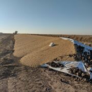 Vandalismo rural: Quema de cultivos y roturas de silobolsas en Buenos Aires, Córdoba y Santa Fe 4