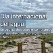 Día Internacional del Agua: La importancia de cuidar este valioso recurso 4